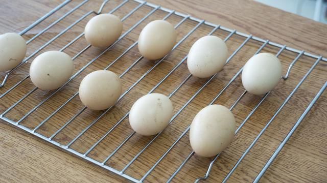  保存|养鸡大户透露，保存鸡蛋有秘诀，绝对不是放冰箱，放半年都不易坏！