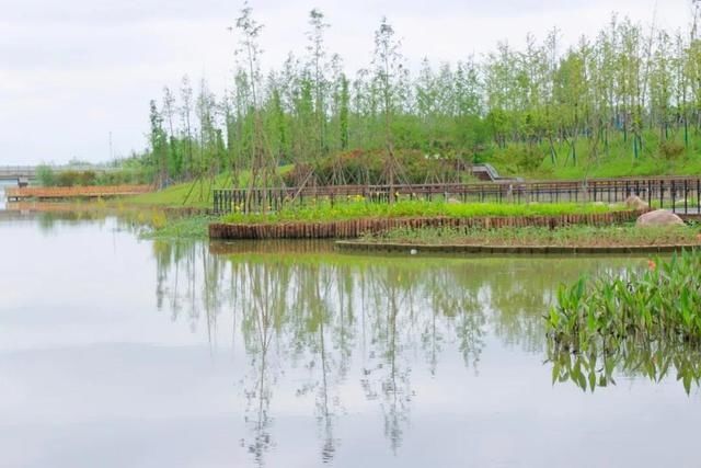  不想|汝南人气爆棚的“网红桥”，想不想来打个卡