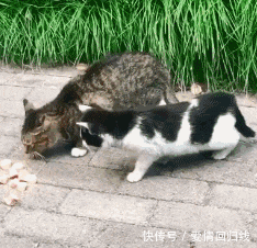 美女|搞笑GIF：美女直播吃辣椒，真是花样百出