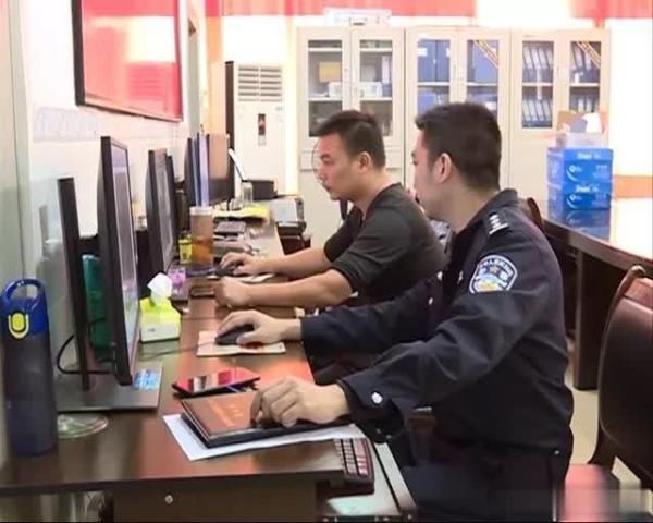 搬家|蚂蚁搬家偷电瓶 一小时盗走40个