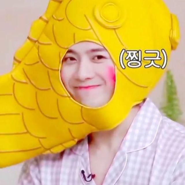  星星|头像Daily | 做回自己的星星，闪耀吧！