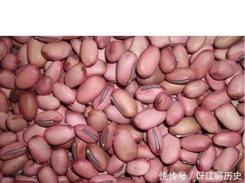  采用育苗|农民种豆角，育苗和直播哪种栽种方式更高产？看看种植专家怎么说