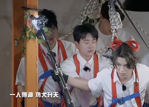 吊桥|郭麒麟不敢挑战高空吊桥,大张伟说出一句话,道出密逃节目本质