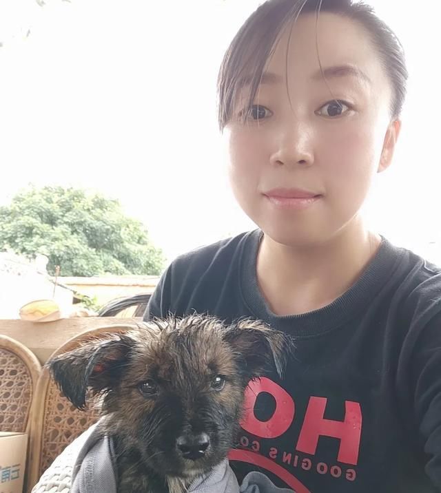 出场|记者深入调查:楚雄市被抓的流浪犬哪去了?