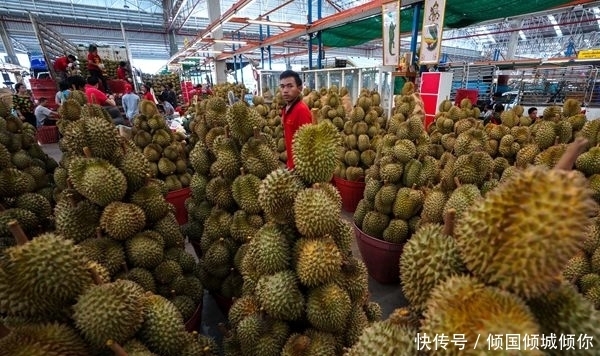 没人要|这水果在泰国没人要,在中国卖到几十块一斤,却被一抢而空!