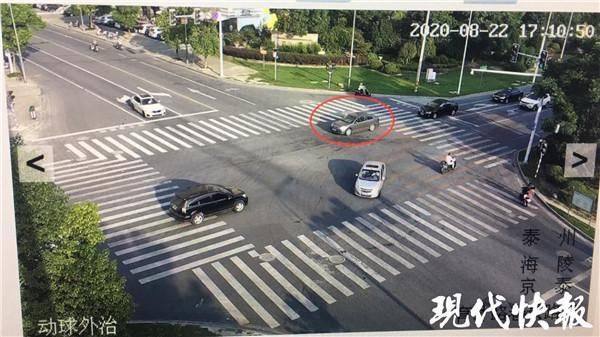 爬树|三“飞贼”徒手爬五楼：从小爬树练出来的