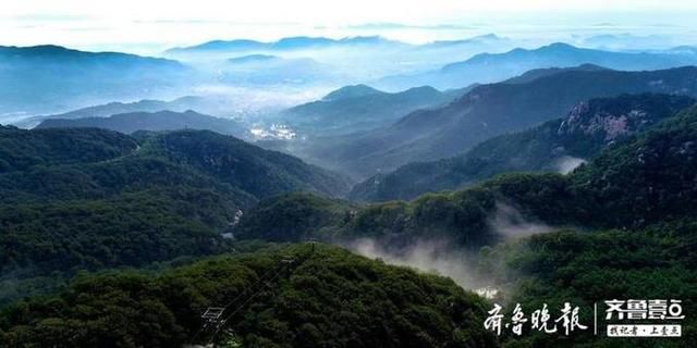 苍翠|雨后沂蒙山云卷云舒，满目苍翠