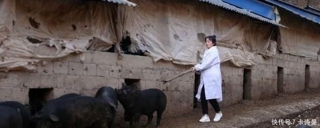 深山|女大学生深山养猪，父亲霸气催婚，农村女孩怎么了，父母这么恨嫁