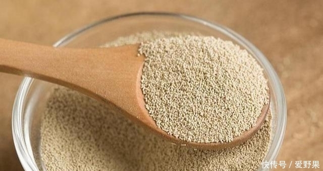 老面|超详细的酵母发酵过程,如何把握酵母粉的量,堪比老面发酵的味道