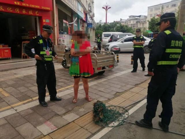 曝光|楚雄不文明行为大曝光！这些人、这些行为被处罚了（组图）