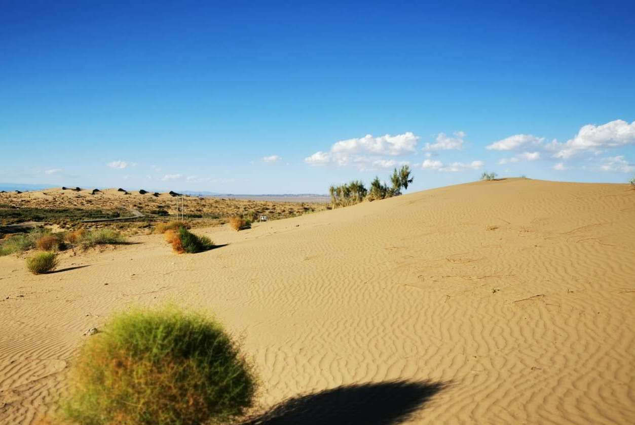 女性更|男主外女主内,应该被推崇吗