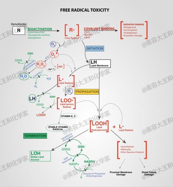  完胜|美白界万能法宝：完胜VC+烟酰胺，地表最强抗氧化剂是…
