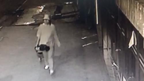 消失|失踪50多天的“孕妇”找到了,消失前发文:狗一样的人生结束了