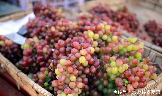 大丰收|云台山大丰收！快，抢先看