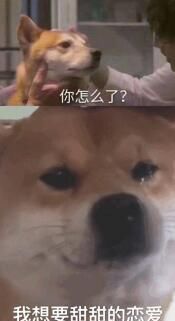  光明记忆|1小时内就能通关的“超短流程游戏合辑”，来试试你要多久？