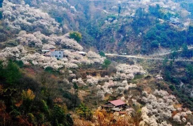  李子柒的住|静静坐着思考也是旅行，李子柒探索田园生活的乐趣享受每一天