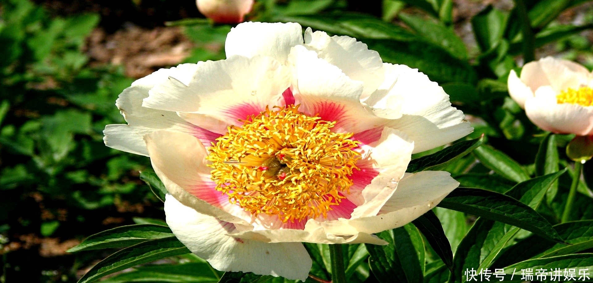 星座|在8月中旬,旧爱归来,有机会死灰复燃,相爱到老的四大星座!