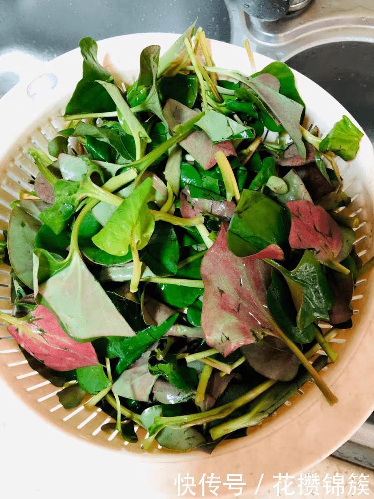  变轻|三伏天，别吃猪肉了，多吃此菜，三天两头吃，肠道通畅了，体重变轻了