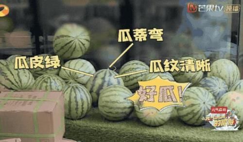  神仙|吴奇隆陈学冬互怼，真实的杨洋憨厚不油腻，这是什么神仙综艺