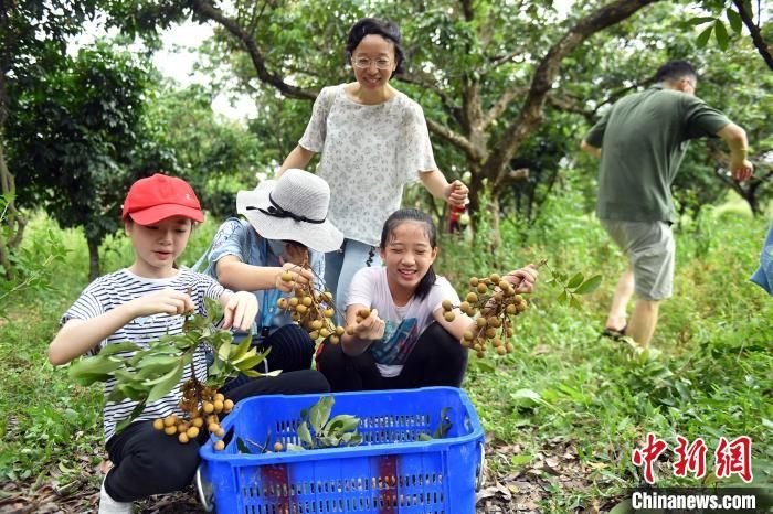 活动|2020粤港澳自然教育季启动 将办数百场活动