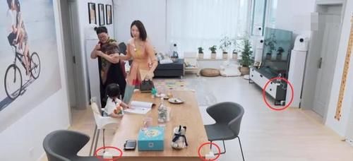  别墅|张继科家别墅接地气，拿院子养鸡种菜，家里放球桌，跟住农村一样