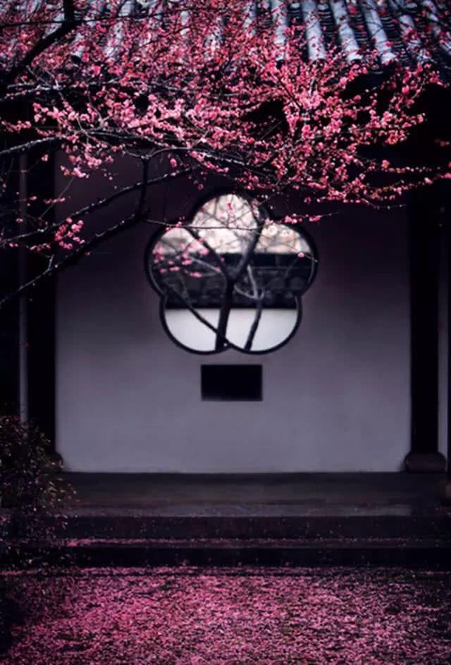  花园|有庭院的人，一定会懂生活