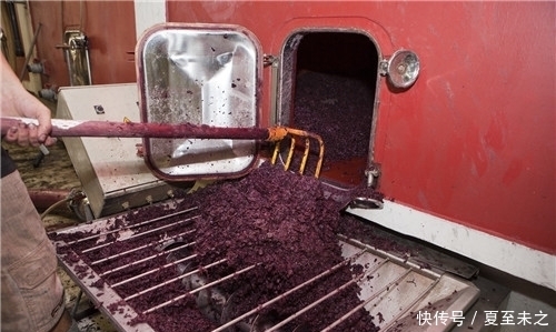 罗纳河谷葡萄园的葡|罗纳河谷葡萄园的“关键词”之旅