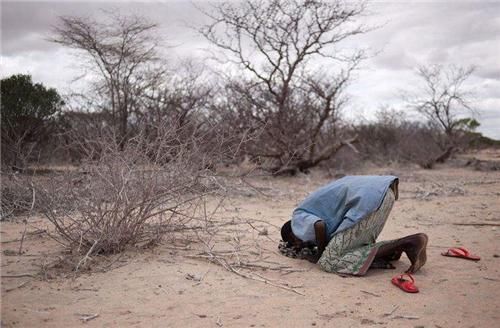地上|非洲人连饭都吃不上，为何还不愿种地？当地人：你看地上都长得啥