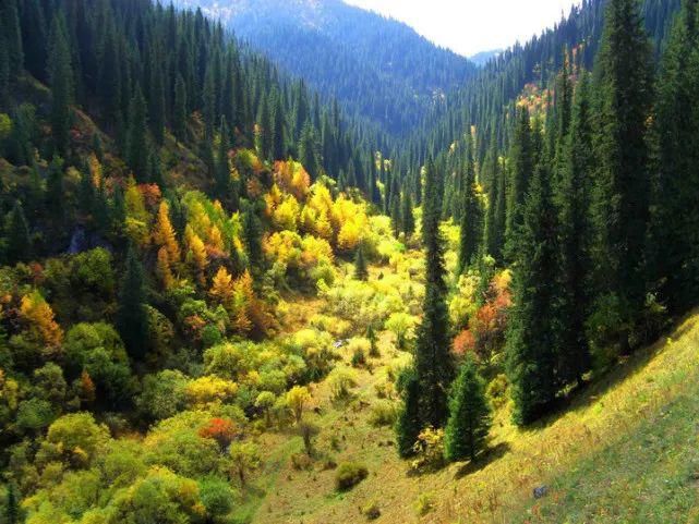  蹊跷|姜广富：蹊跷的命案｜故事