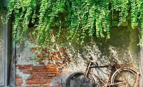  杭州|去了杭州才知道，这才叫生活