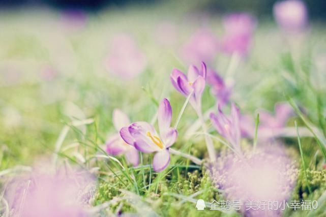  事业|八月开始，事业前程光明，闷头赚钱，运势上等的生肖