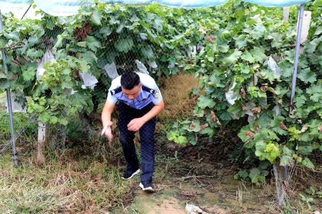 大荔|大荔法院出动百名干警擒“老赖”