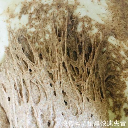 发酵|全麦黑芝麻吐司(波兰种)