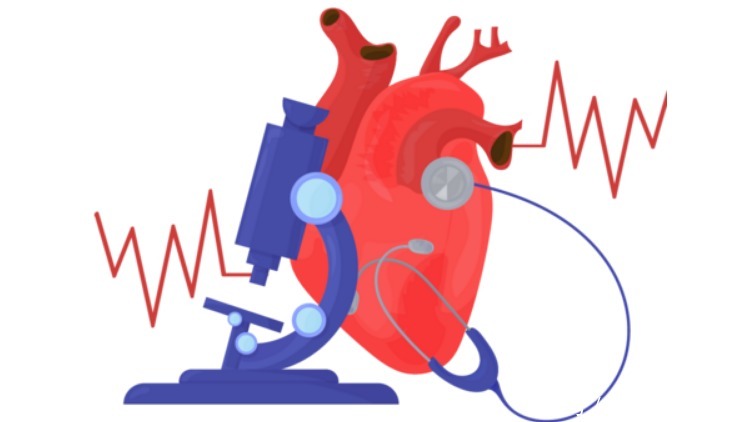 小娟|31岁新郎，婚礼上晕倒，送医后离世，得知原因，婆婆扇新娘一嘴巴