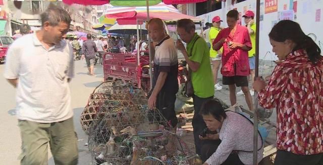 农历七|鸭鸭今天“爆红”环江！中元节你吃什么“鸭”？