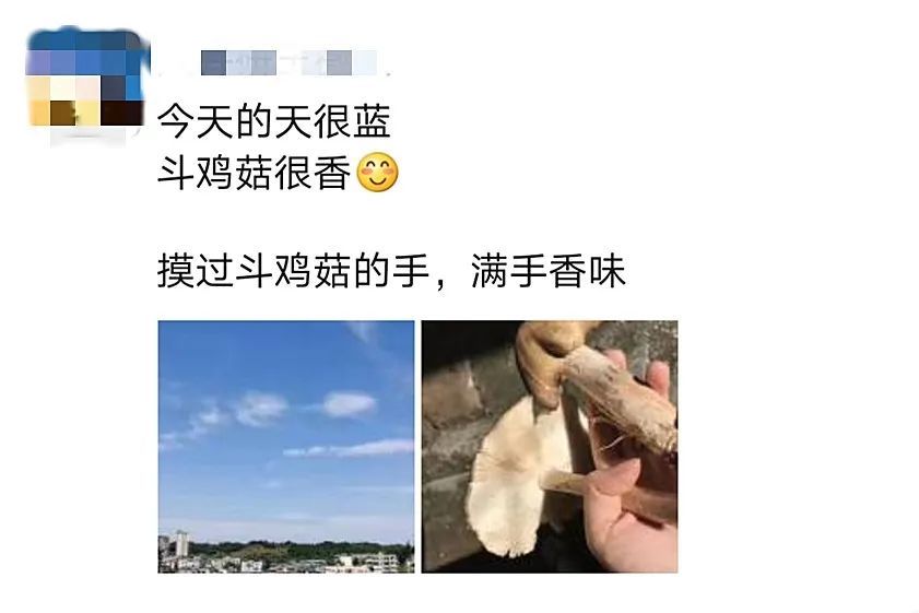  斗鸡|就问你晓得仁寿“斗鸡公”不？