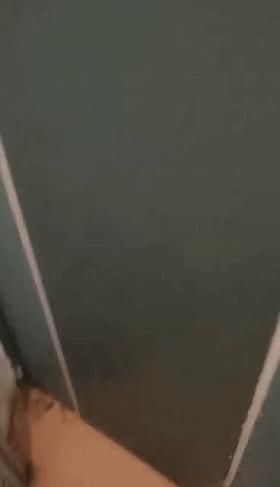 家庭|26年前海宁一家庭遭捆绑、堵嘴、抢劫,如今最后一名逃犯到案!