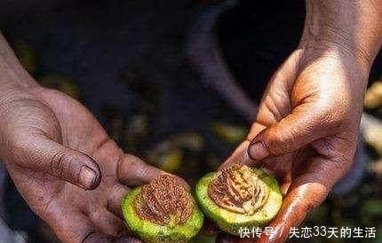  核桃|曾经几十万一对儿的核桃, 如今人工操作几十元都无人问津!