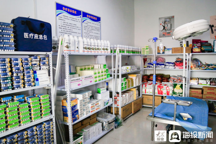  工作人员|被收容的犬只去了哪？探访东营市犬只收容救助留检所