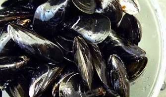 今日|今日开海!这84种海鲜,你都认识吗?你真的会吃海鲜吗?