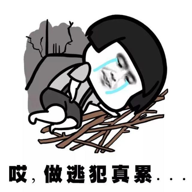  警察蜀黍|玲珑派出所抓获三名网上逃犯