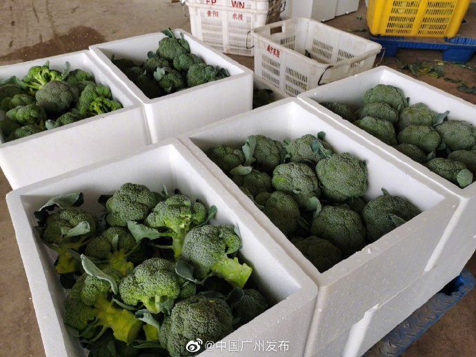 发货|发货啦!你饭桌上的菜,竟然是从这里打包发货的