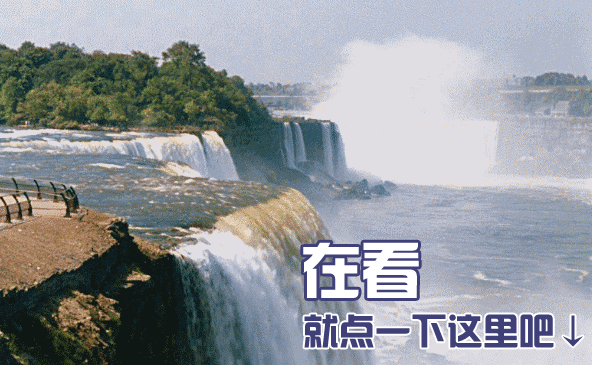 你家|有福了!普陀又一公园完成改造,在你家附近吗?