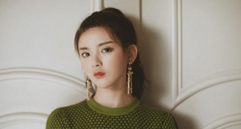  备受|哇唧唧哇四大顶流, 肖战第二, 第一是备受争议的她!