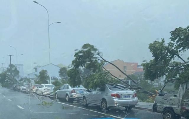  人或管理人|“黑格比”走了，被砸、被淹的汽车怎么办？