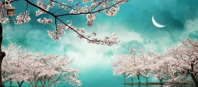 唐朝|车如流水马如龙,花月正春风——美到心醉的十五首古诗词!