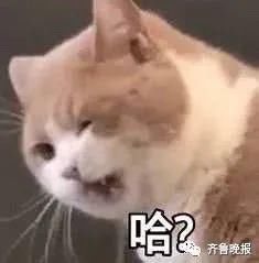 提醒|注意!国庆假期河南高速禁行此类车!还有6条重要提醒