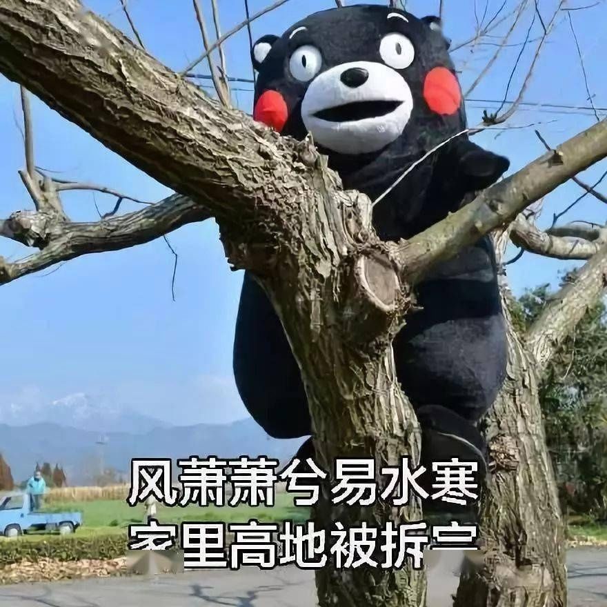 最全|王者荣耀系列表情包（全网最全合集）