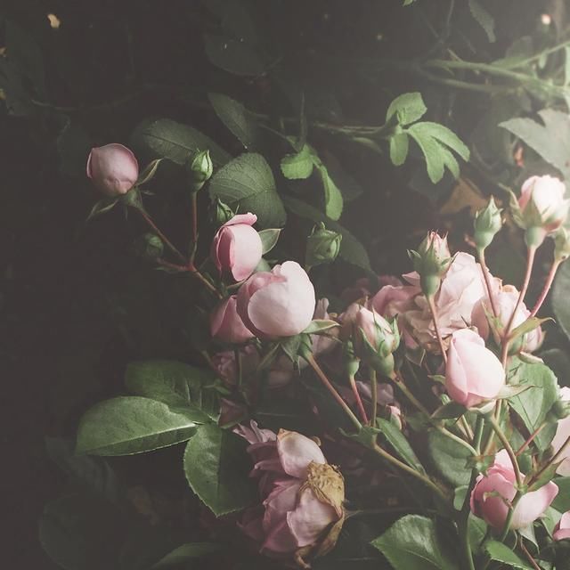  身边|其实和好如初，挺难的！