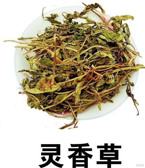 培训|卤起源卤菜培训：给学员讲卤水三草，用好三草，卤菜百吃不腻